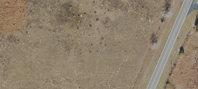 Agricultural Land