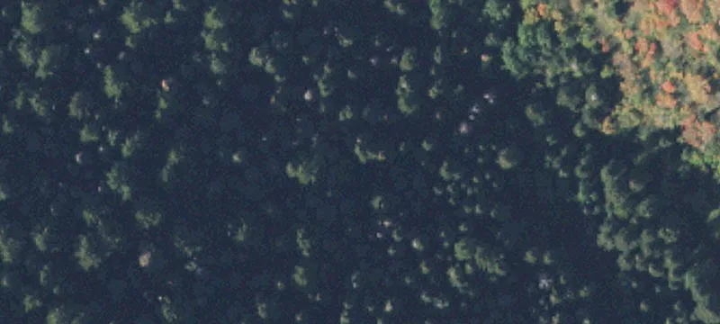 Land