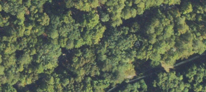 Unimproved Land