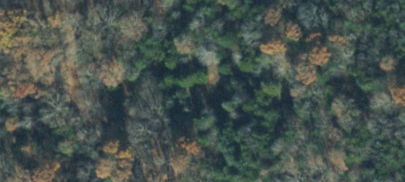 Recreation Land with Creek