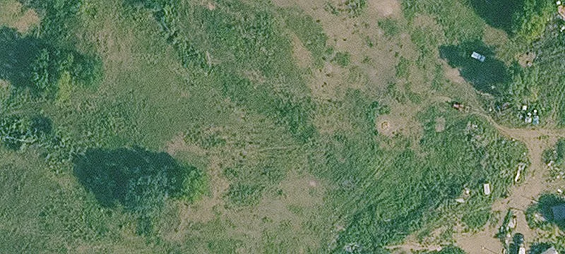 Hunting Land with Food Plots