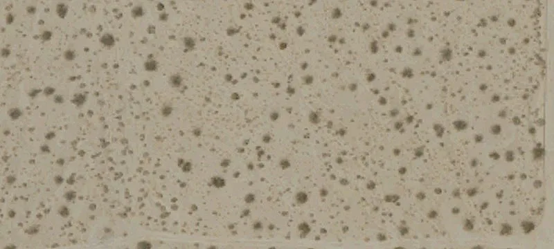 Flat Corner Land Parcel
