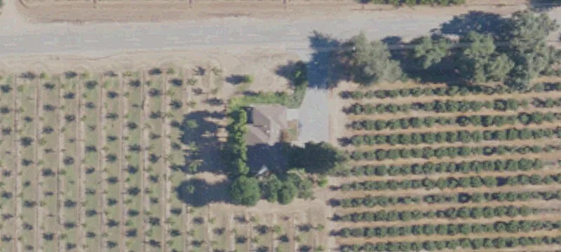 Leveled Agricultural Farm With Orchard