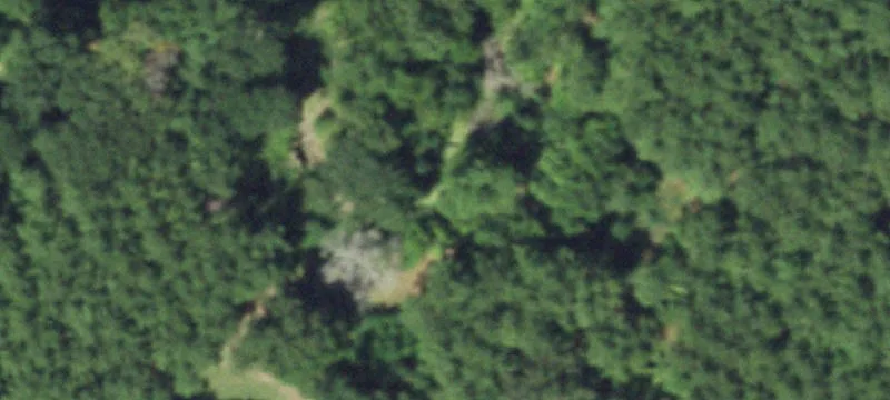Recreation Land With Cabin