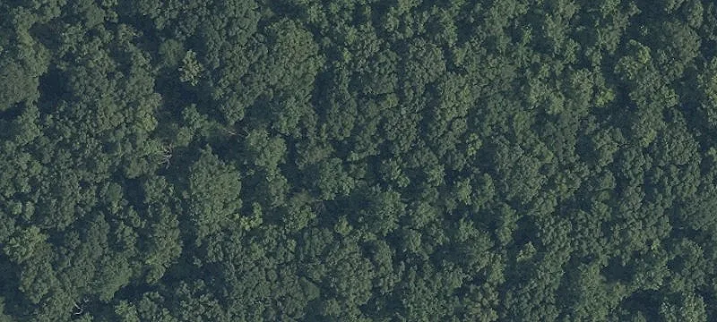 Unimproved Land