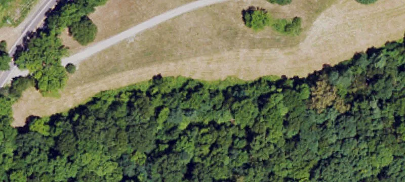 Wooded Hunting Land