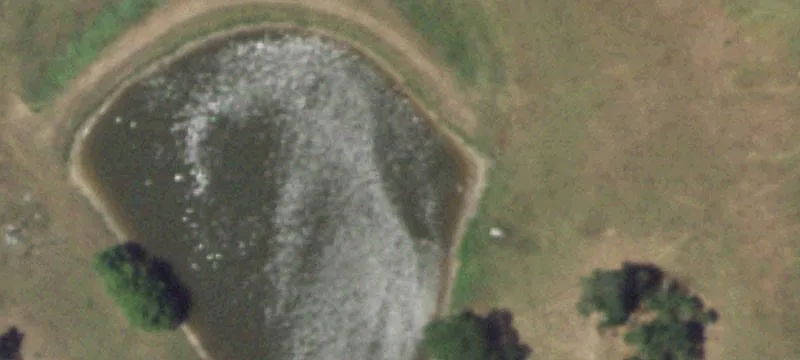 Fenced Agricultural Land with Pond