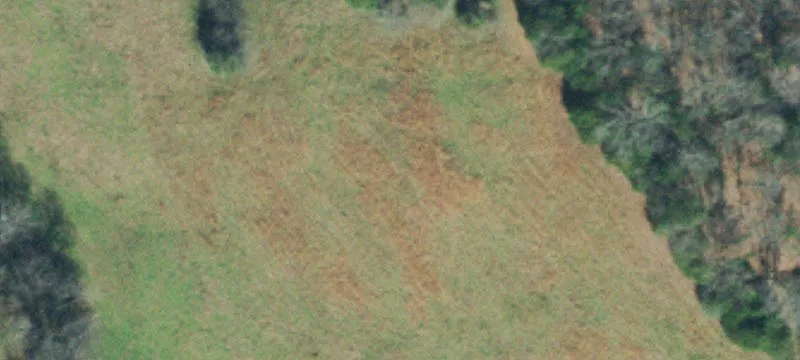 Farm