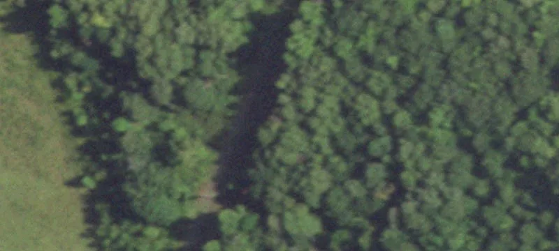 Wooded Hunting Land with Creek
