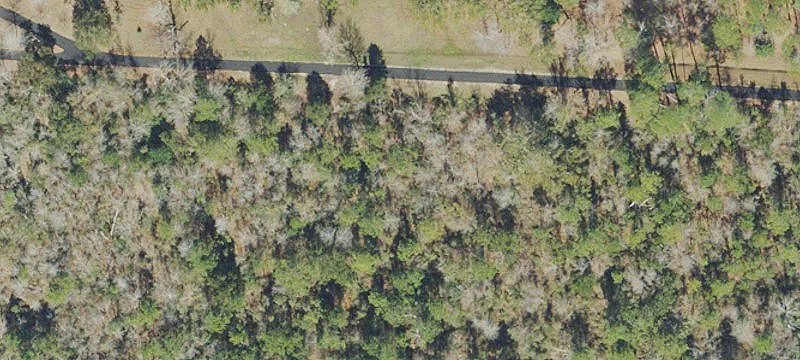 Vacant Land / Lots