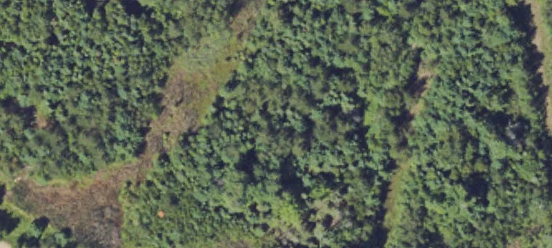 Unimproved Land
