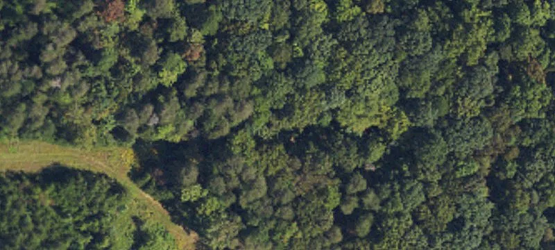 Wooded Agricultural Land with Ponds