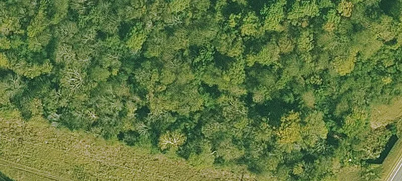 LAND