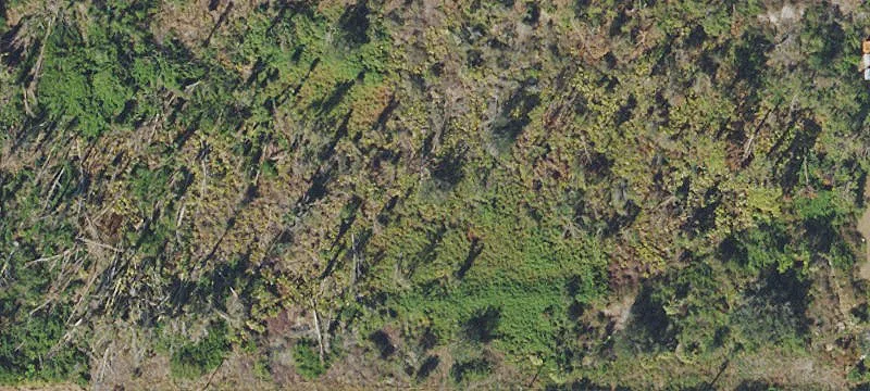 Deed-Restricted Industrial Land
