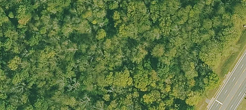 Land