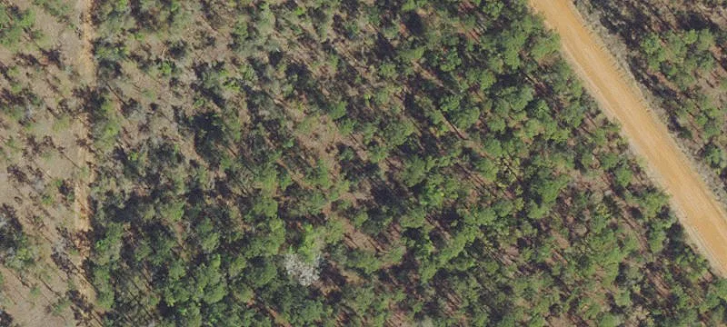 Land or Vacant Lot