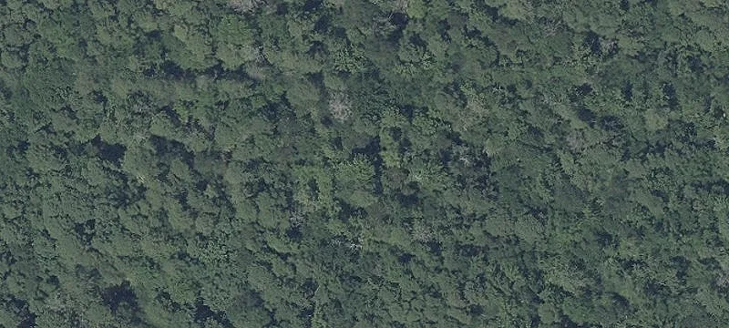 Unimproved Land
