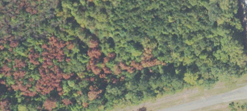 Commercial Land Near Retail Anchors