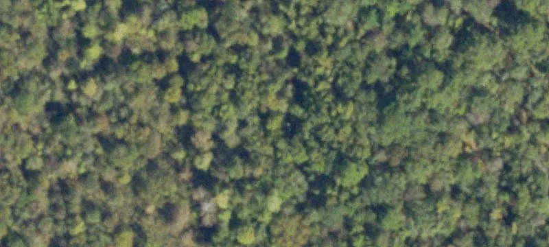 Contiguous Agricultural Land
