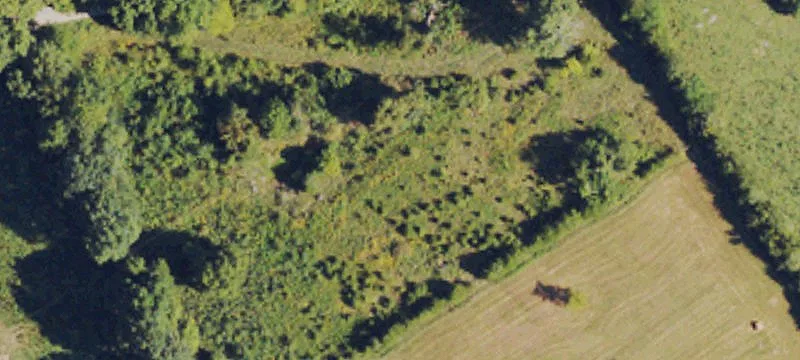 Farm