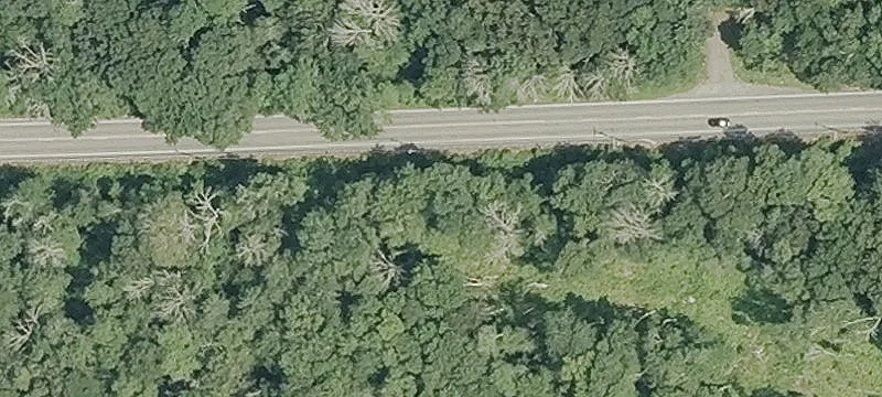 Land