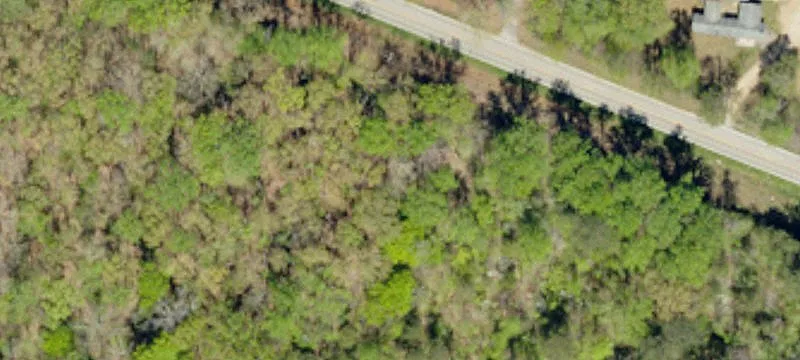 Land or Vacant Lot