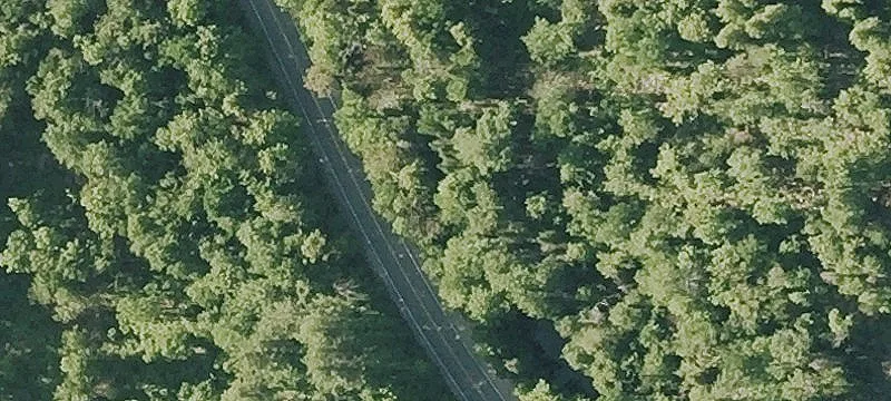 Land