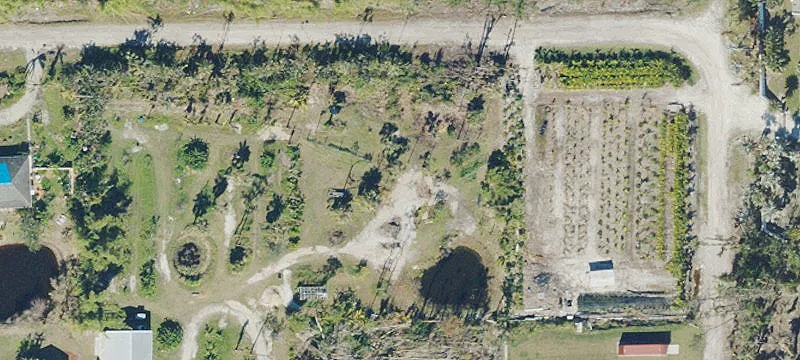 Palm Nursery Property