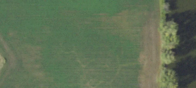 Agricultural Land with Fishing Pond