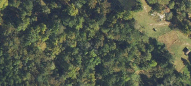Wooded Agricultural Land