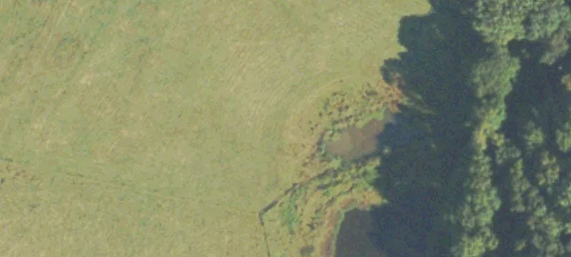 Cattle Farm With Colonial Home