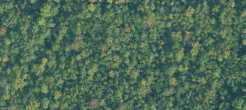 Hunting Land with Wetlands