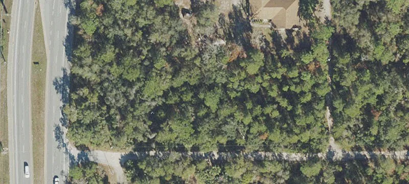 Wooded Commercial Land