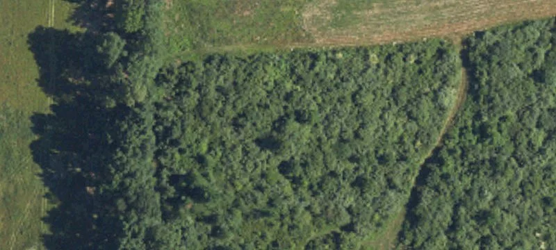 Unimproved Land