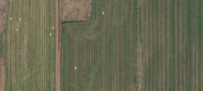 Land/Property