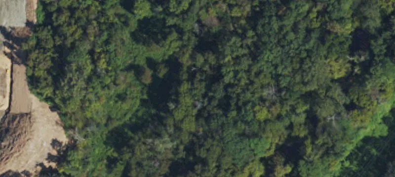 Land or Vacant Lot