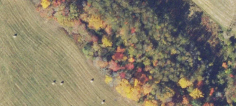 Unimproved Land