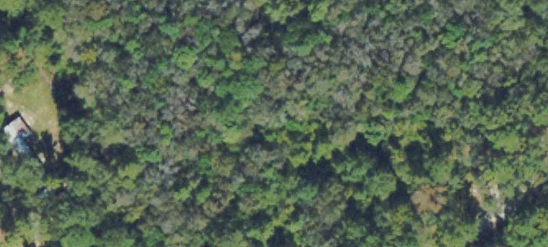 Land/Lot