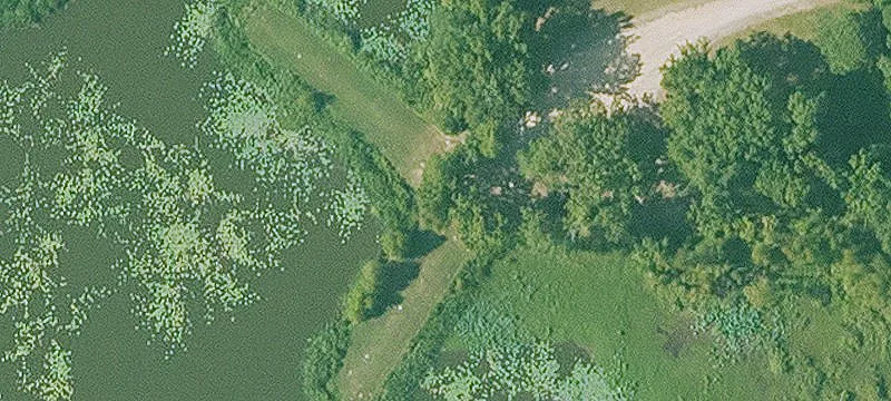 Land