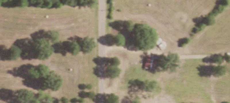 Planted Pine Hunting Land