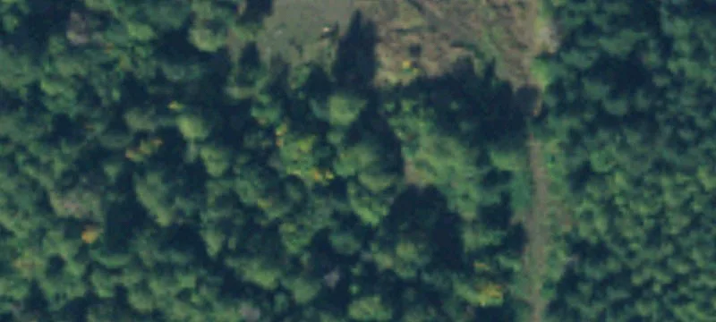 Land with Mature Orchard