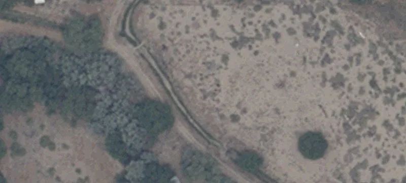 Wooded Vacant Land