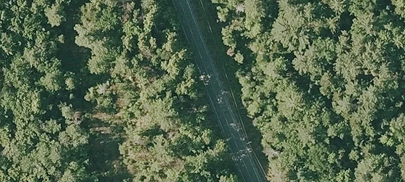 Surveyed Wooded Land Parcel
