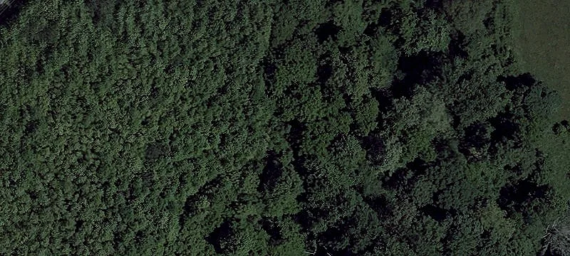 Land Parcel