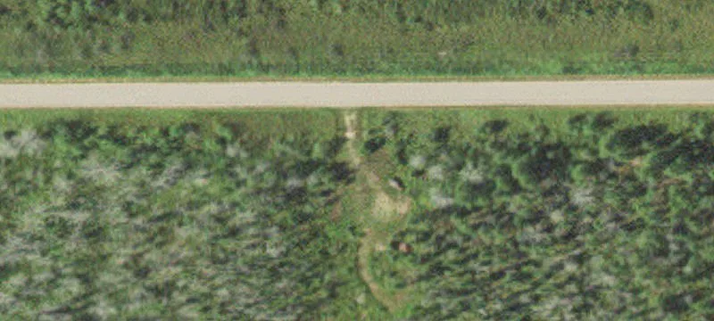 Hunting Land With Mowed Trails