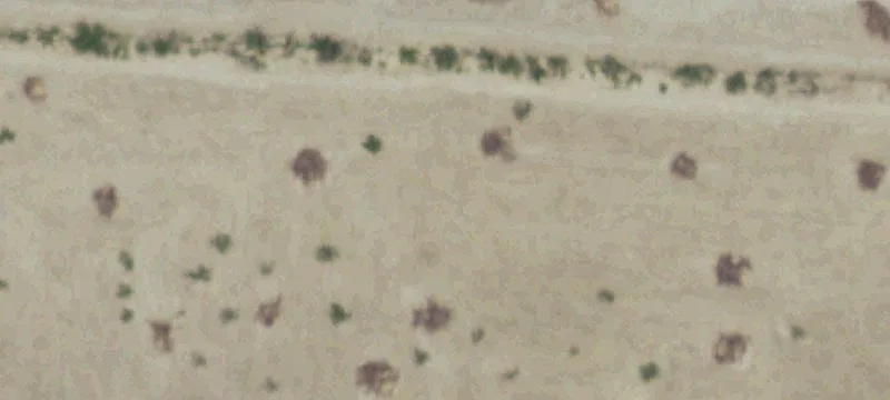 Farm With Residence And Barns