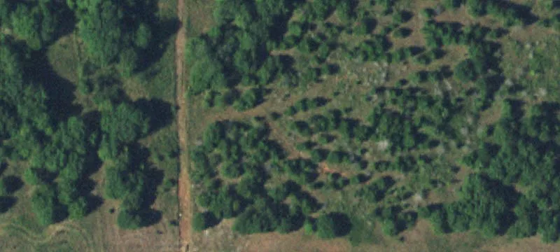 Unimproved Land