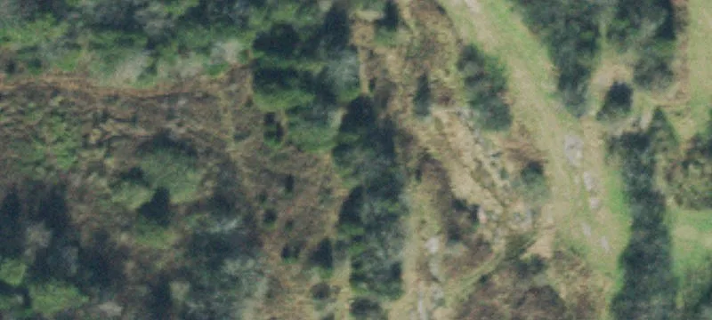Agricultural Land With Barns