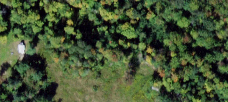 Hunting Land With Seasonal Cabin
