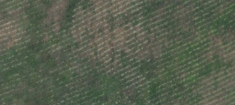 Horse and Cattle Ranch
